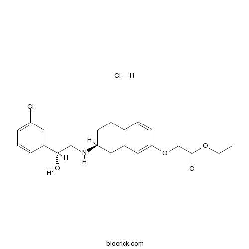 SR 58611A hydrochloride