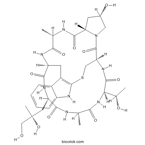 Phalloidin