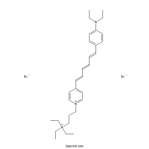 SynaptoRedTM C2