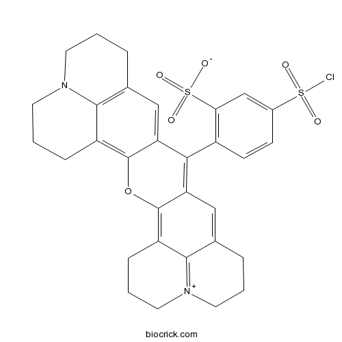 Sulforhodamine 101