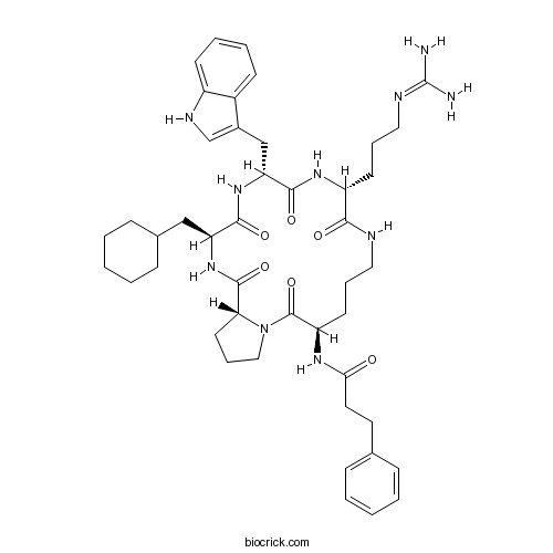 PMX 205