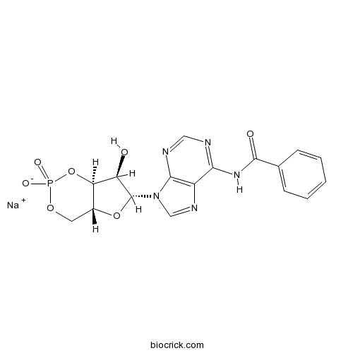 6-Bnz-cAMP sodium salt