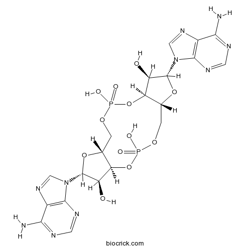 c-di-AMP