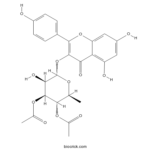 SL 0101-1