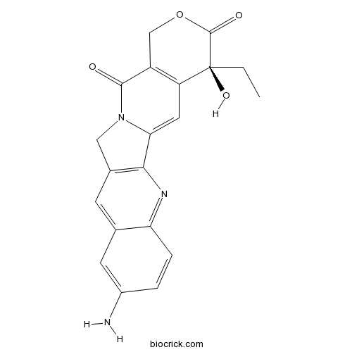 10-Aminocamptothecin