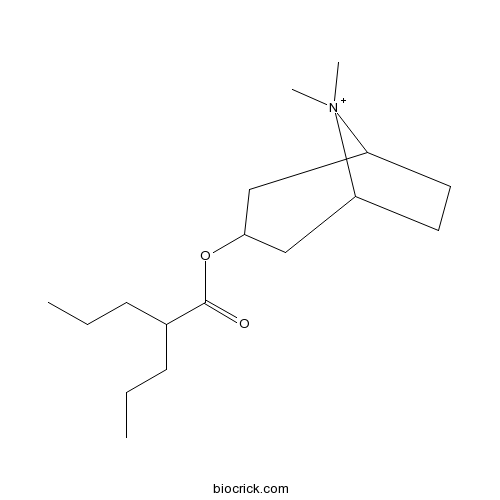 Anisotropine Methylbromide; Octatropine Methylbromide