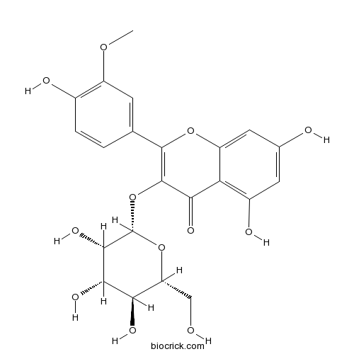 异鼠李素 3-O-半乳糖苷