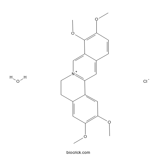 Palmatine chloride monohydrate