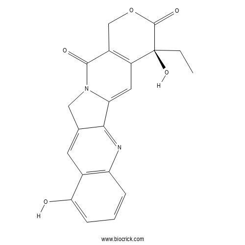 9-Hydroxycamptothecin