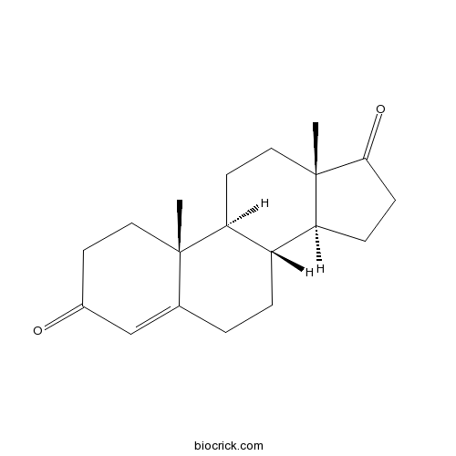 Androstenedione