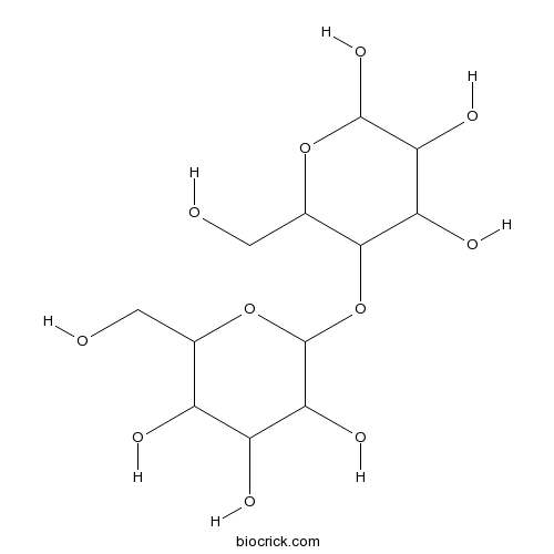 Maltose