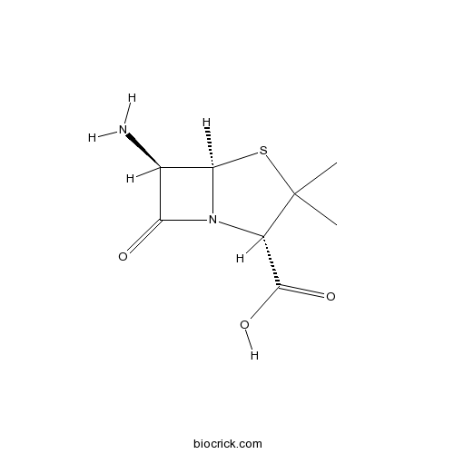 6-Aminopenicillanic acid