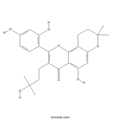 8-Isomulberrin hydrate