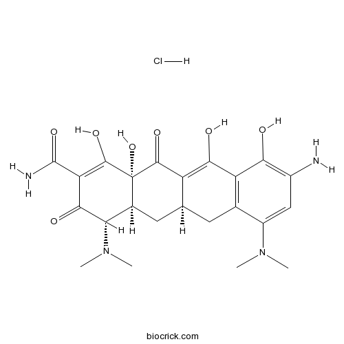 9-Aminominocycline hydrochloride