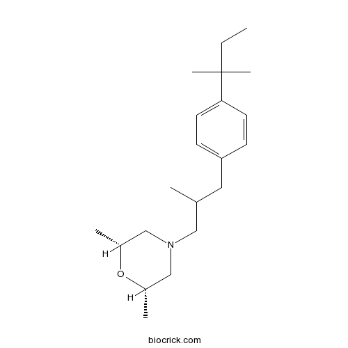 Amorolfine