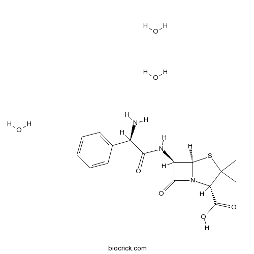 Ampicillin Trihydrate