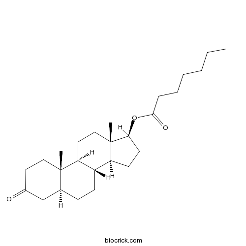 Androstanolone heptanoate