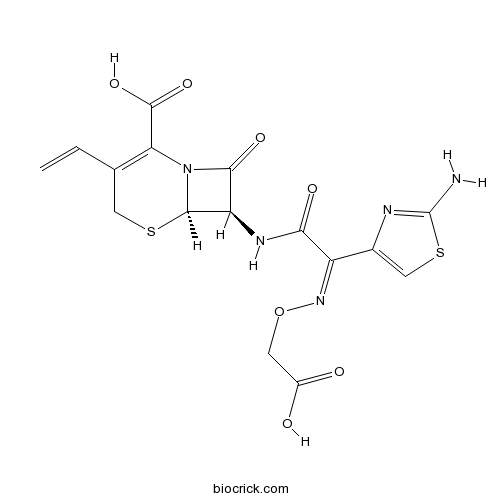 Cefixime