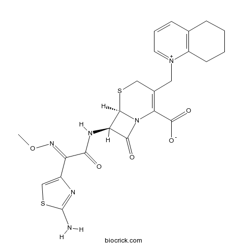 Cefquinome