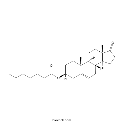 Dehydroepiandrosterone enanthate