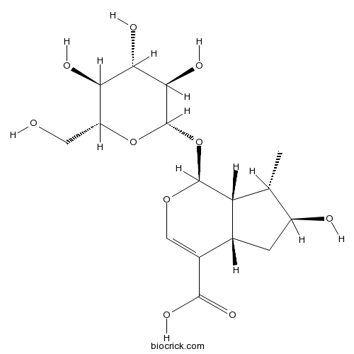 8-Epiloganic acid