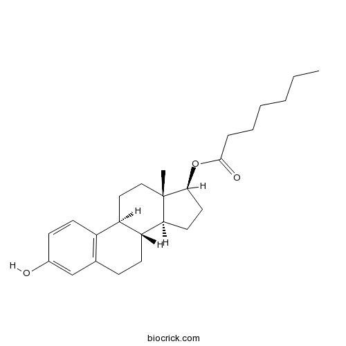 Estradiol heptanoate