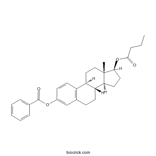 Estradiol-3-benzoate-17-butyrate