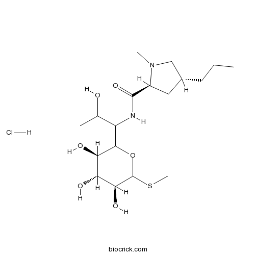 Lincomycin hydrochloride