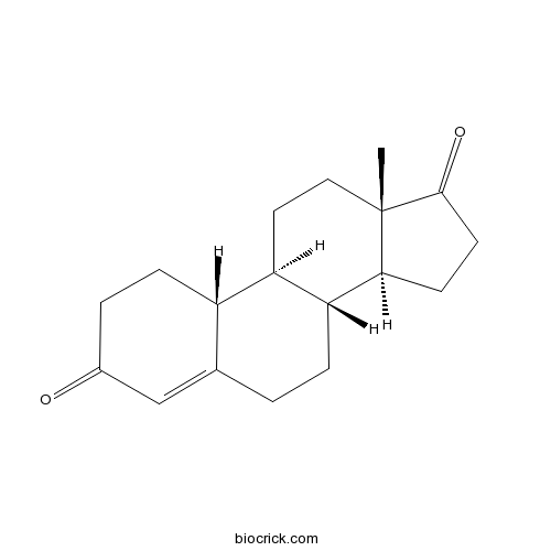 Norandrostenedione