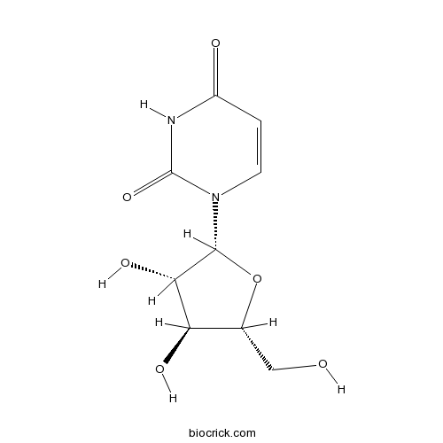 Spongouridine