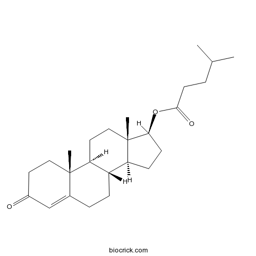 Testosterone isocaproate