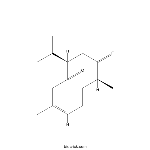 Neocurdione