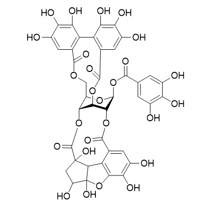 叶下珠鞣质C