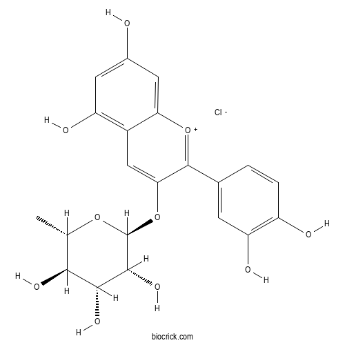 矢车菊素-3-O-鼠李糖苷氯化物