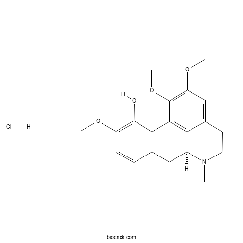 (+)-Isocorydine hydrochloride