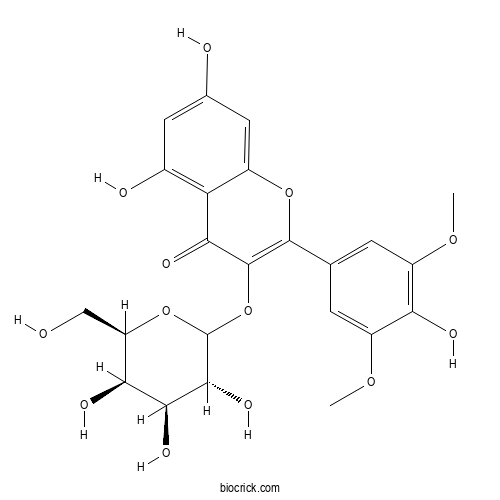 Syringetin 3-O-galactoside