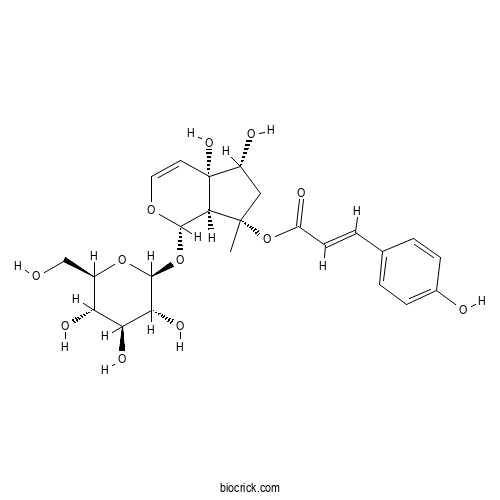 8-p-Coumaroylharpagide