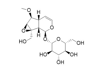 6-O-Methylcatalpol