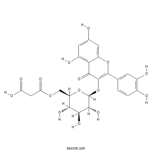 槲皮素-3-O-(6“-O-丙二酰基)-β-D-葡萄糖苷