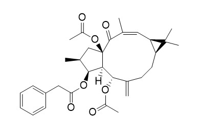 脱氧大戟因子L1