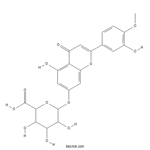 Diosmetin 7-glucuronide