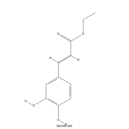 Ethyl trans-caffeate