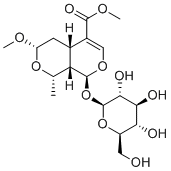 7α-O-Methylmorroniside