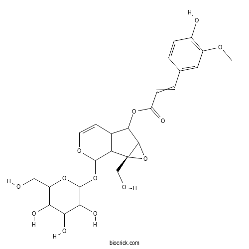 6-Feruloylcatalpol