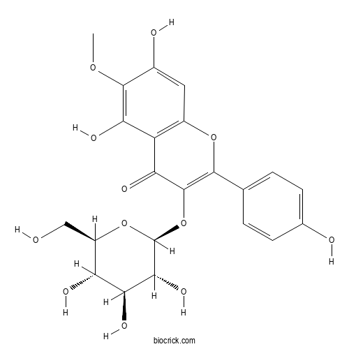 6-Methoxykaempferol 3-O-glucoside