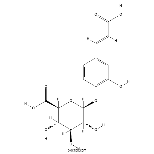 Caffeic acid 4-O-glucuronide