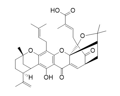 表藤黄烯酸