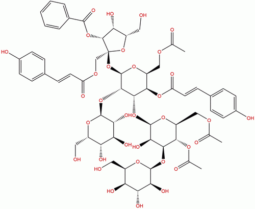 Tenuifoliose H