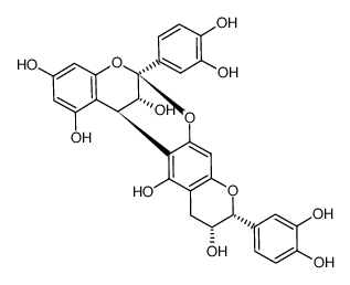 Procyanidin A6