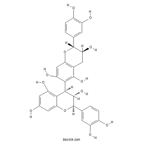 Procyanidin B6